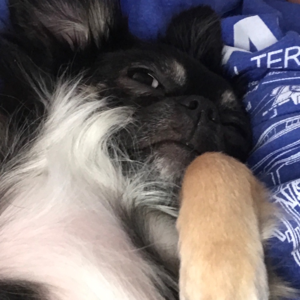 Meet your Posher, Ryan